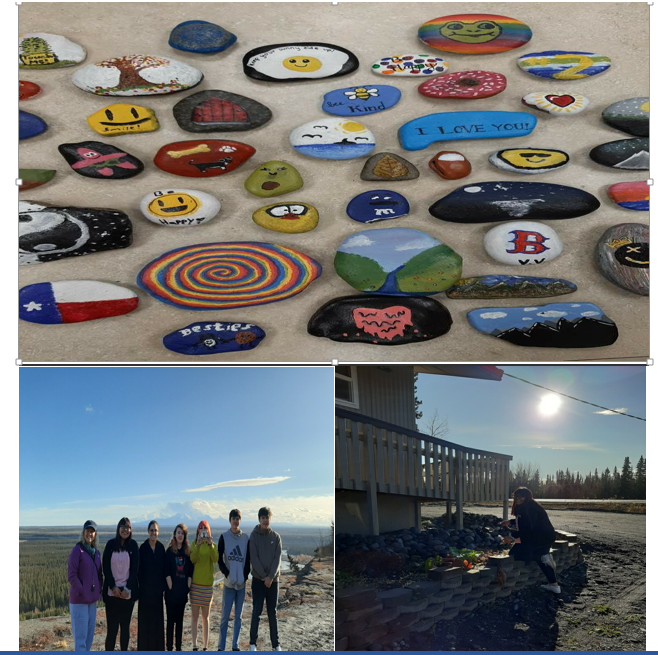 High School Visual Arts I/II Students Rock Art Project