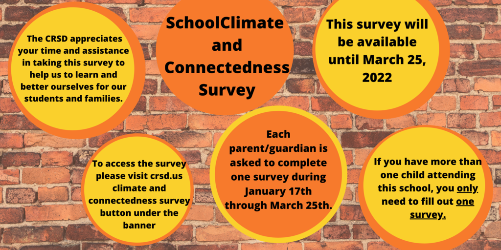 School climate and connectedness survey