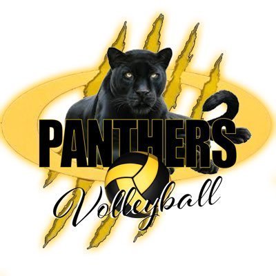 Panther volleyball