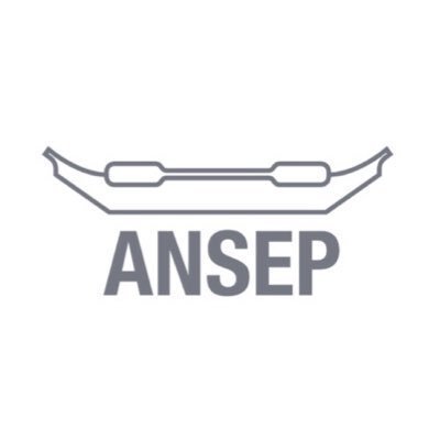 ANSEP Logo